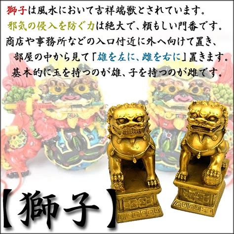 玉獅子風水|風水獅子の置き方 : 風水開運ガイド